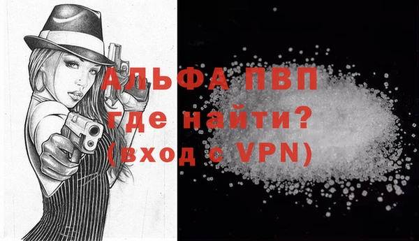 PSILOCYBIN Бородино