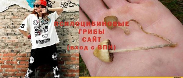 PSILOCYBIN Бородино