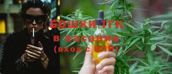 PSILOCYBIN Бородино